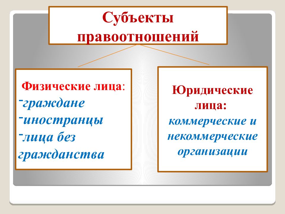 Проект правоотношения и субъекты права