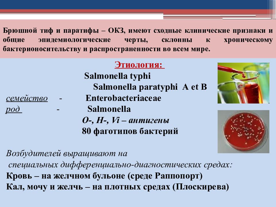 Сальмонеллез и брюшной тиф. Брюшной тиф и паратиф. Тиф и паратиф микробиология. Исследование крови на Тифы и паратифы. Брюшной тиф и паратифы основные клинические симптомы..