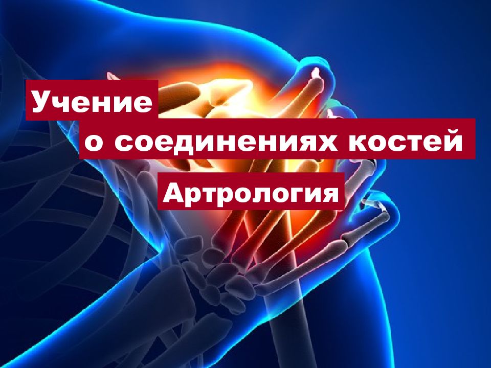 Артрология. Учение о соединениях костей артрология. Артрология и синдесмология– учение о соединениях костей. Картинки по артрологии.