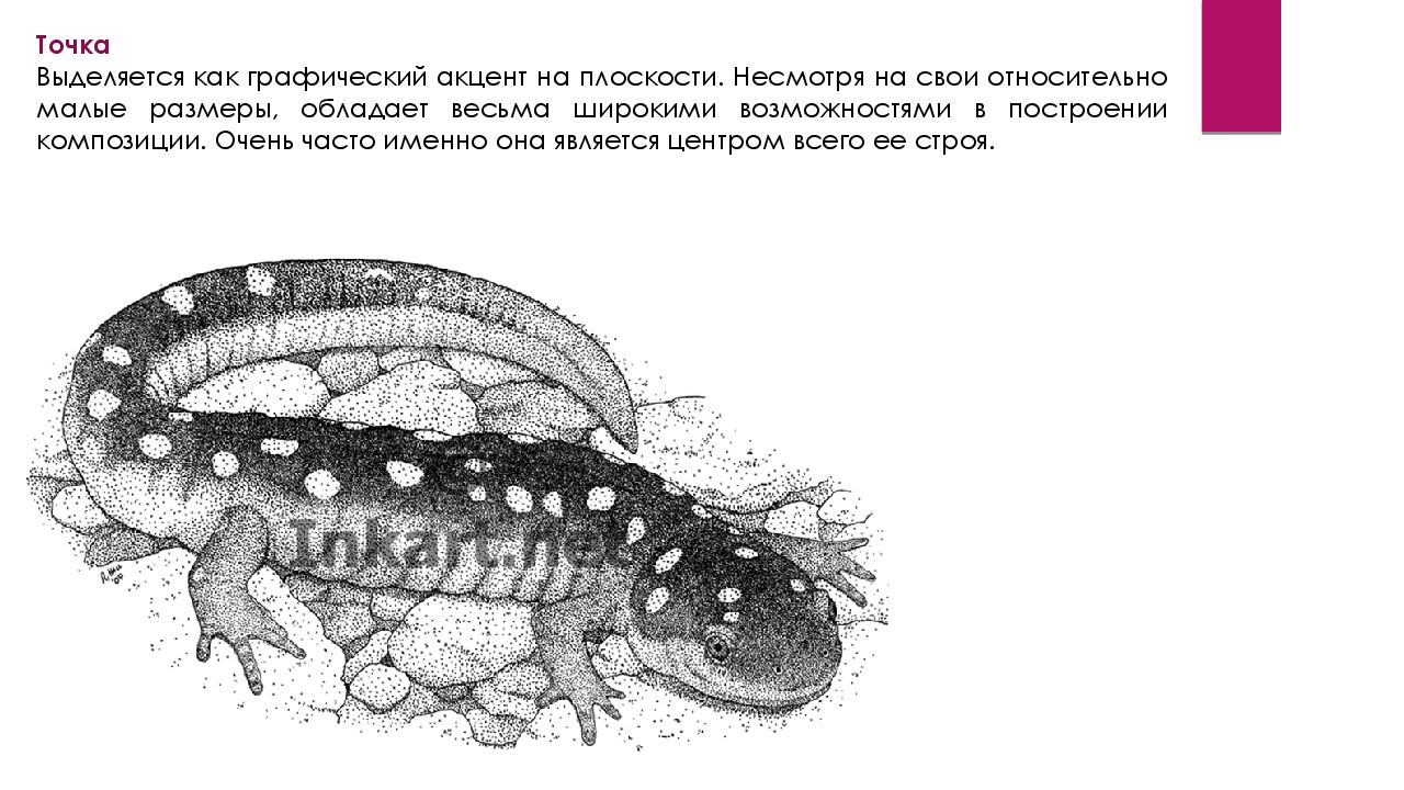 Точка выделить. Точка как графический акцент на плоскости. Точка как графический акцент на плоскости композиция. 7.Точка как графический акцент на плоскости. Практическое задание точка как графический акцент на плоскости.