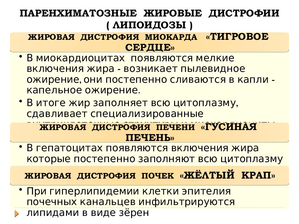 Схема паренхиматозные дистрофии классификация по виду обмена веществ