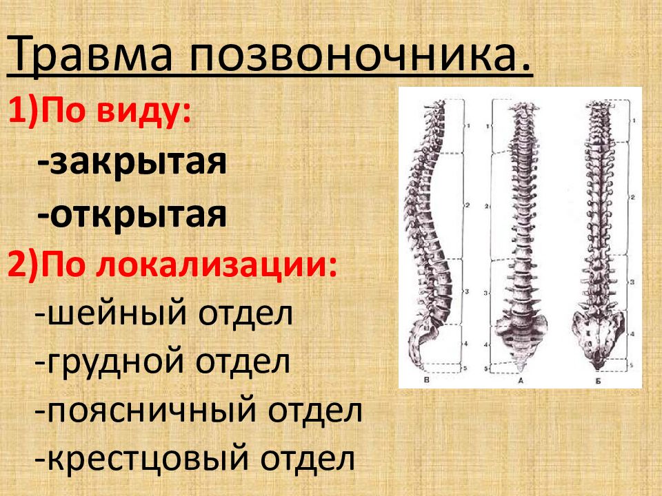 Травмы позвоночника с повреждением. Виды повреждений позвоночника. Классификация травм позвоночника и спинного мозга. Травма позвоночника, спины.