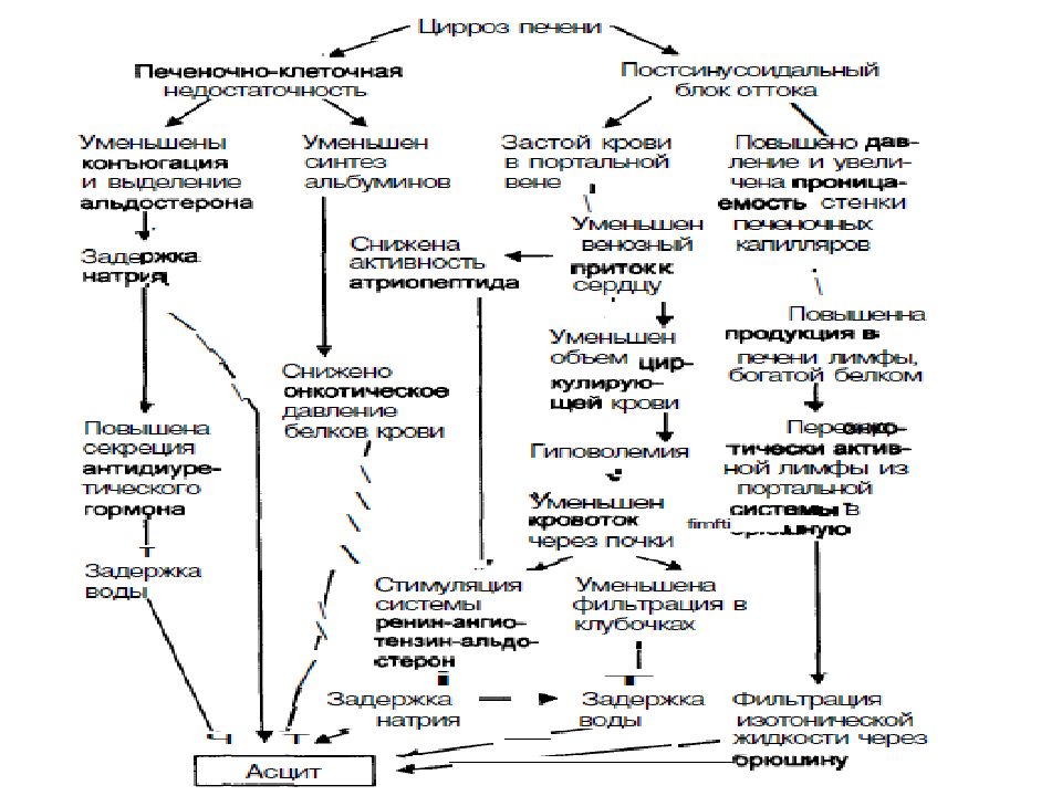 Пропедевтика история болезни схема