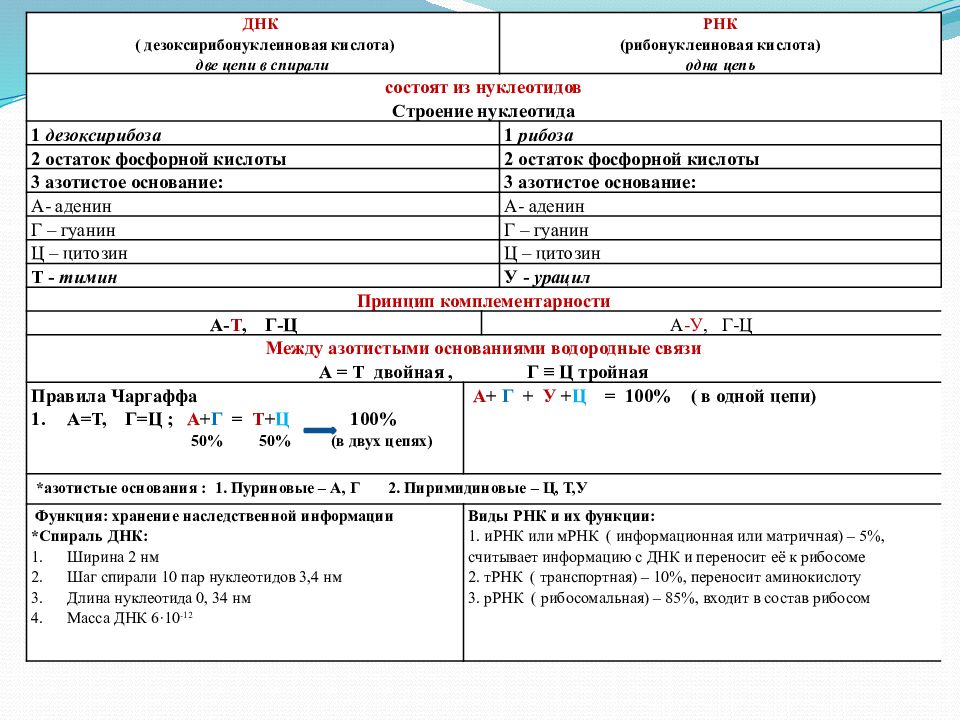 Презентация по биологии решение задач по молекулярной биологии