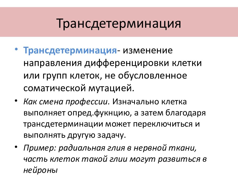 Генетические вопросы. Трансдетерминация. Трансдетерминации. Трансдетерминация это в биологии. Детерминация клеток примеры.