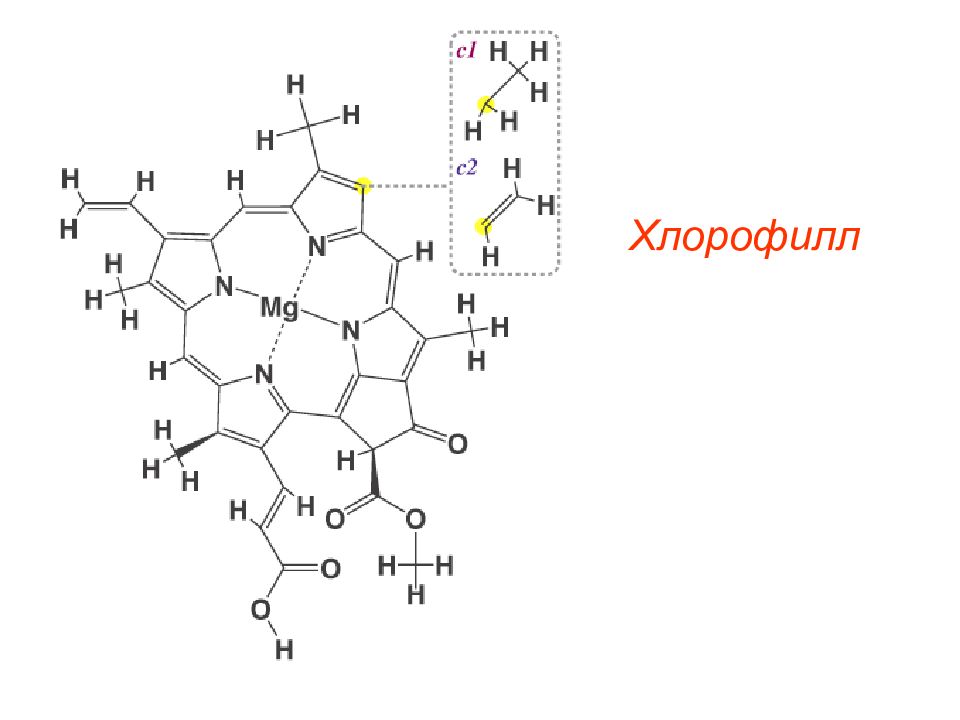 Хлорофилл химический состав. Структурная формула гемоглобина и хлорофилла. Строение молекулы хлорофилла. Формула строения хлорофилла. Хлорофилл структурная формула.