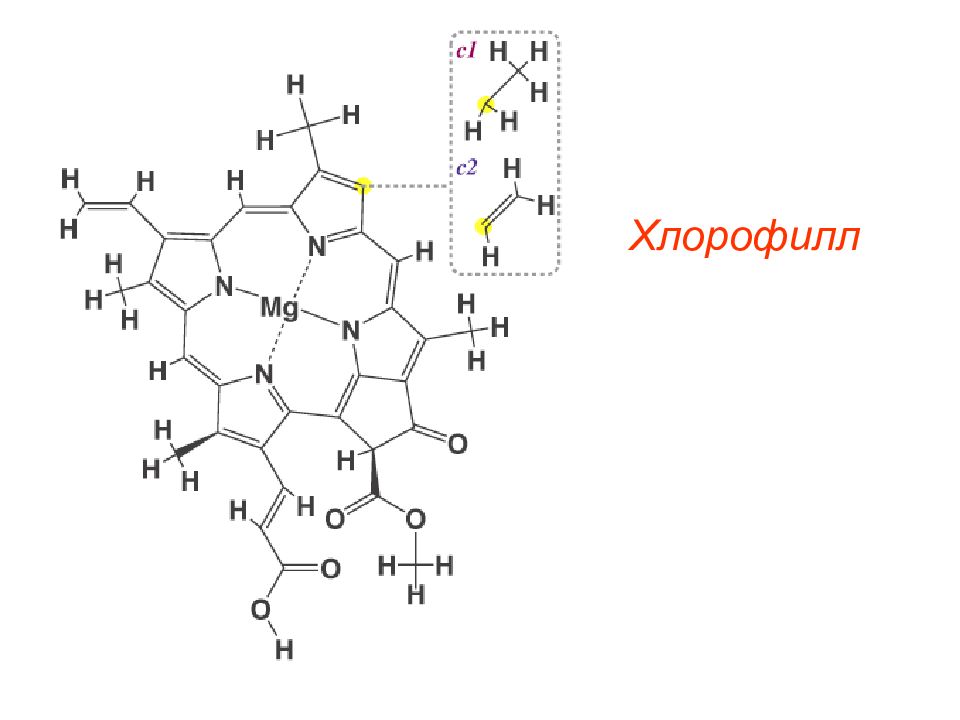 Хлорофилл 1. Хлорофилл формула. Молекула хлорофилла формула. Формула гема и хлорофилла. Хлорофилл с1 формула.