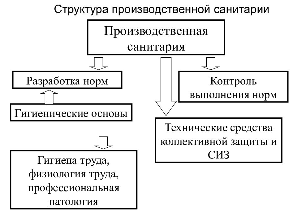 Охрана труда конспект. Структура производственной санитарии. Охрана труда конспект лекций. Схема контроля труда. Охрана труда предмет.