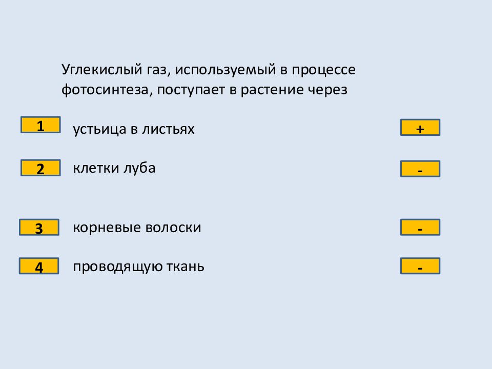 Проверочная работа по теме органы растений. Органы цветковых растений 6 класс тест с ответами. Органы цветковых растений 6 класс тест. Схемы 8 класс зачет. Органы цветковых растений 6 класс тест с ответами 1 вариант.