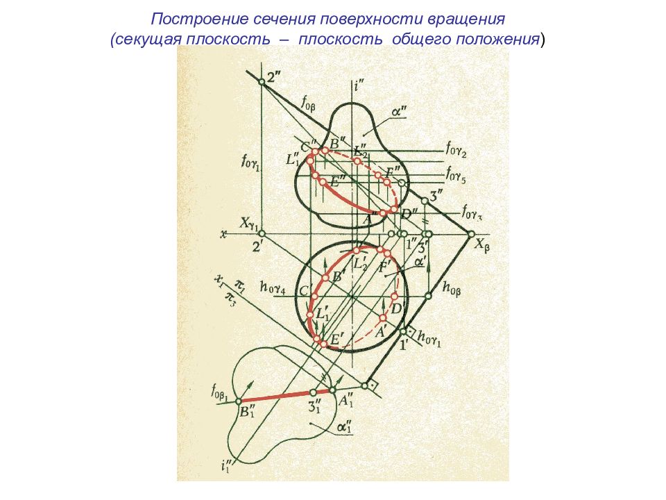 Сечения поверхности вращения плоскостью