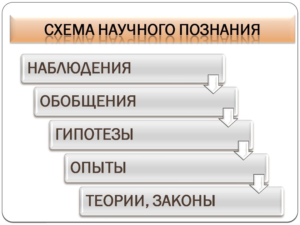 Познание 10 класс обществознание презентация