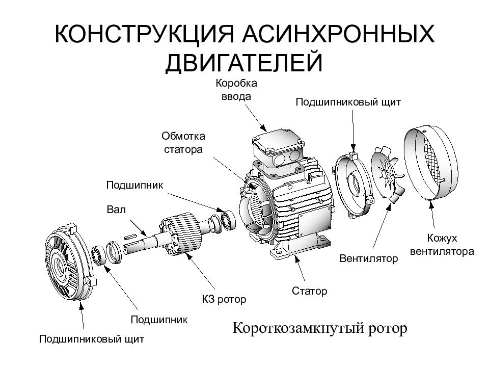 Схема устройства электродвигателя