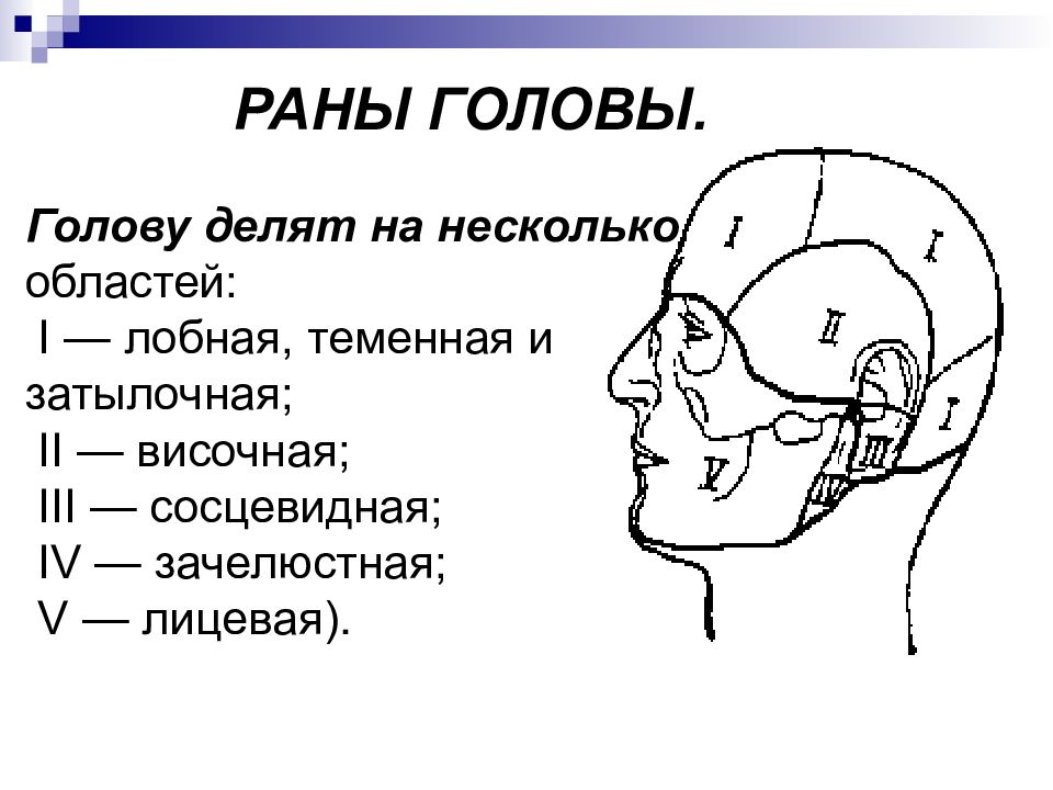 Затылок область. Теменная область головы. Височно-теменная область головы. Височная часть головы. Название областей головы.