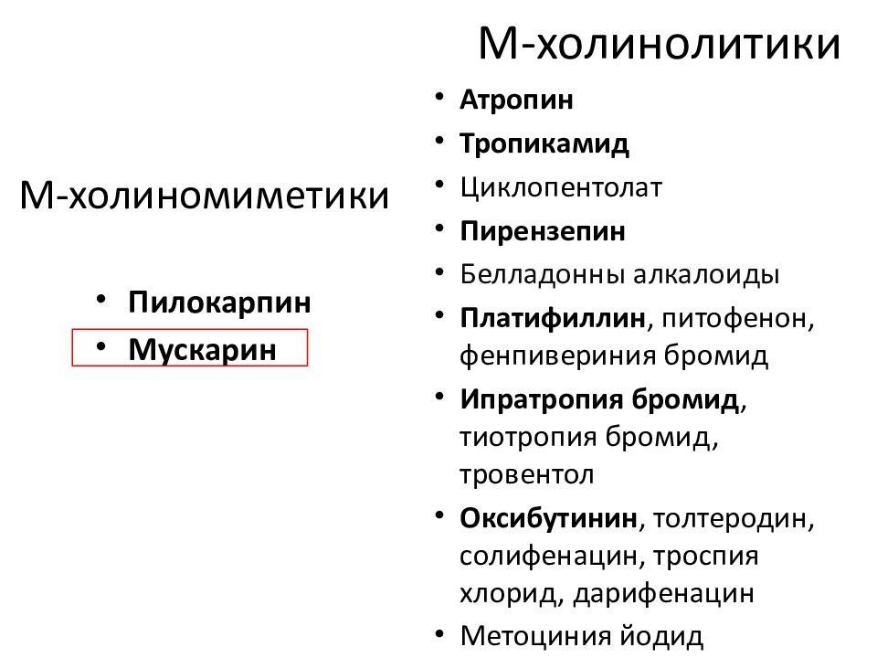 Холинергические средства фармакология презентация