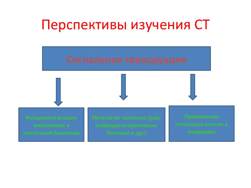 Перспективы исследования