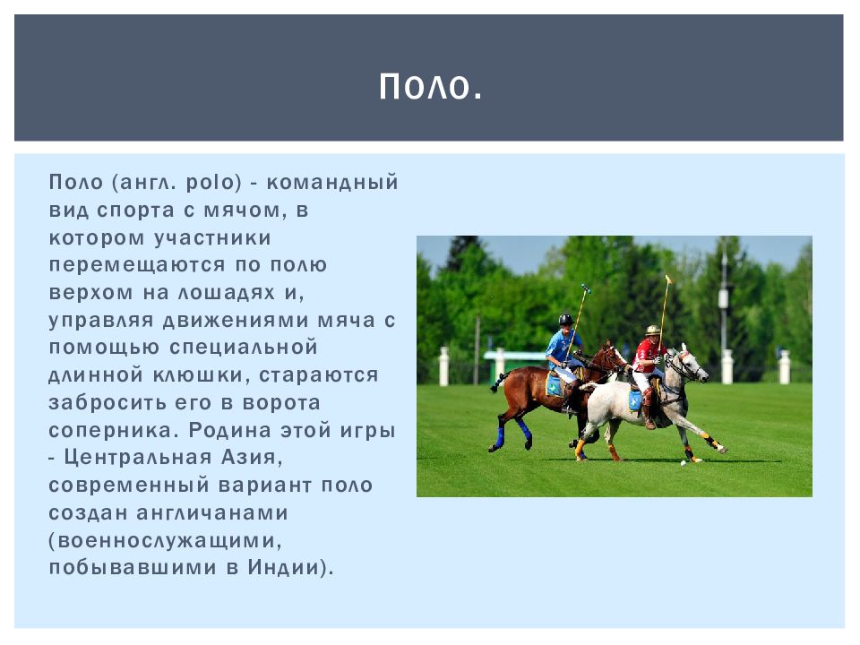 Какую работу совершает л. Факты о лошадях и конном спорте. Поло по́ло (англ. Polo)— командный вид спорта с мячом. Классификация видов конного спорта. Английский вид спорта на лошадях.