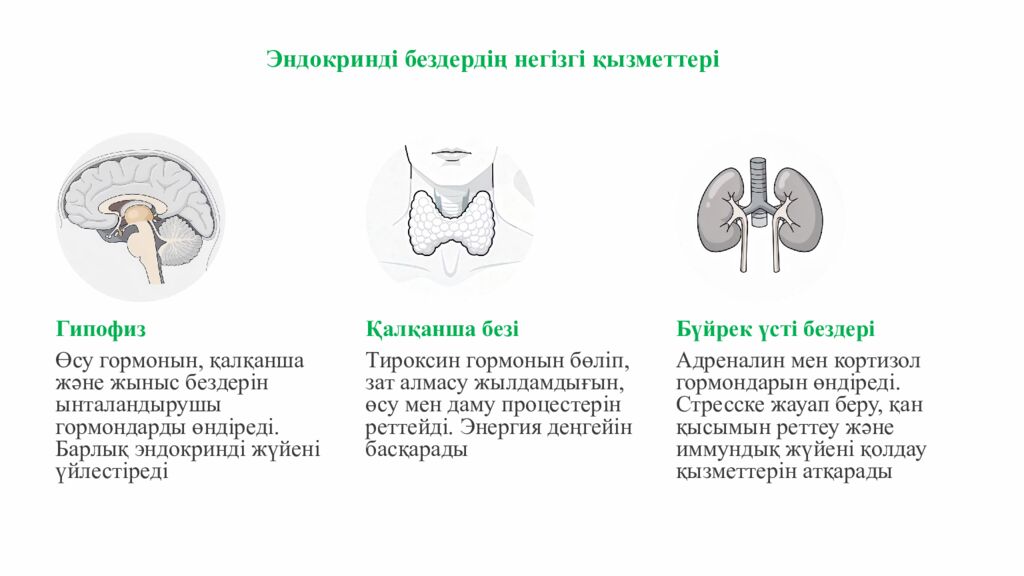 ПСИХОЛОГИЯЛЫ Қ АТМОСФЕРА ОРНАТУ Додокоэдр» тәсілі бойынша жағымды психологиялық