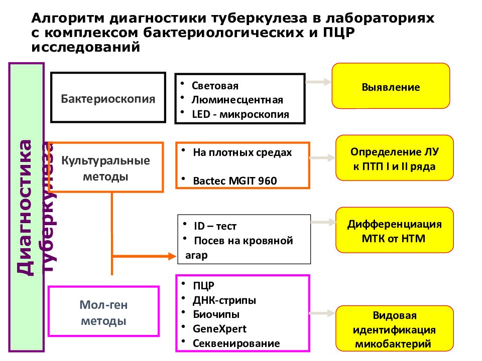 Алгоритм диагностики туберкулеза. Алгоритм диагностики туберкулеза