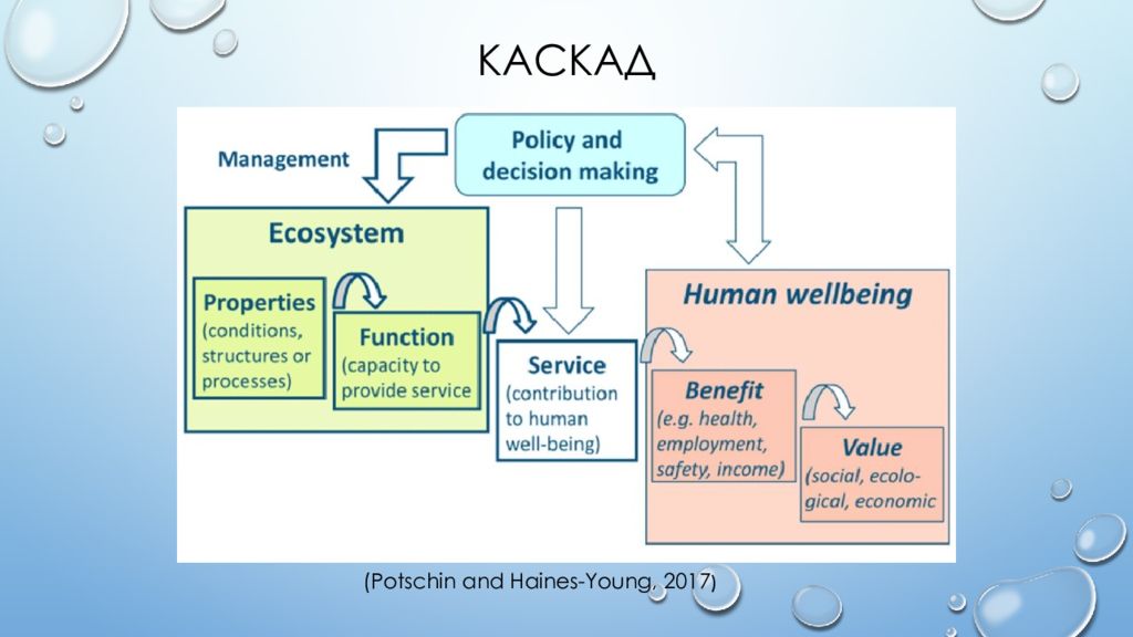 Экосистемные услуги это. Экосистемные услуги определение. Экосистемные услуги леса. Каскад презентация. Слайды презентации каскадам.