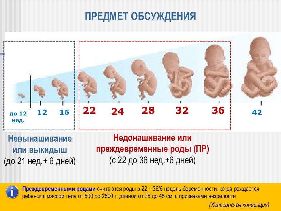 Привычный выкидыш презентация