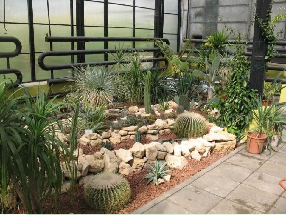 ОХРАНА РАСТИТЕЛЬНОГО МИРА