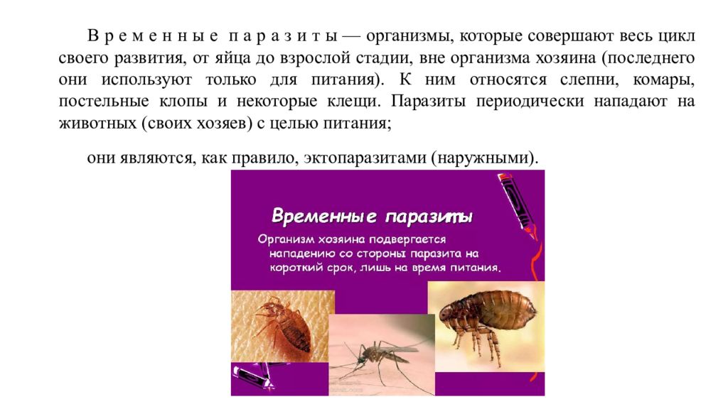 Имаго это в паразитологии. Клещи паразитология. Паразитология презентация. Введение в паразитологию. Временные паразиты.