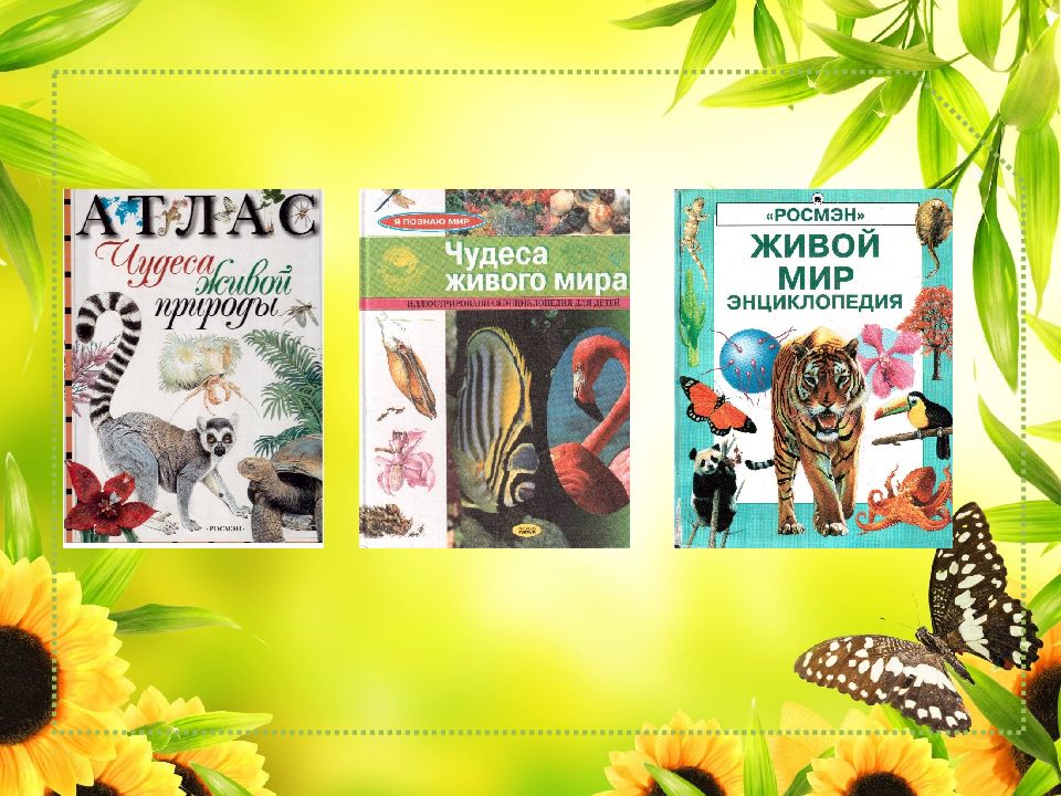 Мир природы открывает книга. Я С книгой открываю мир природы