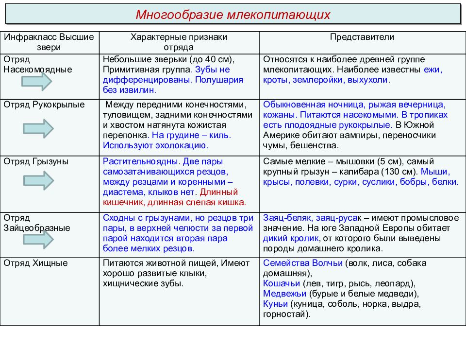 Изучить характеристику. Отряды млекопитающих таблица 7 класс. Таблица по биологии 7 класс отряды млекопитающих. Отряды млекопитающих таблица 7 класс биология. Признаки отрядов млекопитающих.