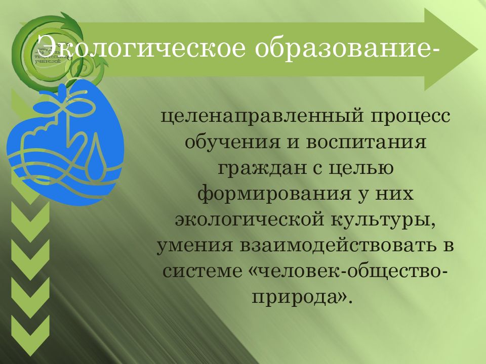 1 целенаправленную природу. Экологическое образование и воспитание. Экология образование. Экологизация образования и воспитания. Экология обучение.