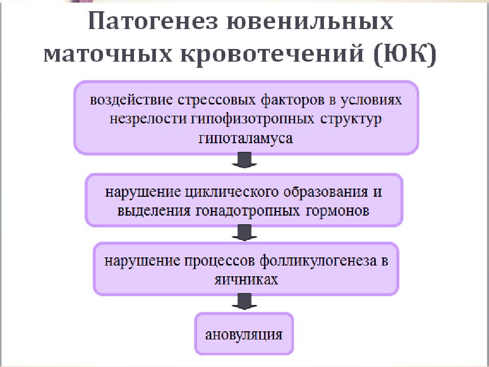 Ювенильные маточные кровотечения презентация