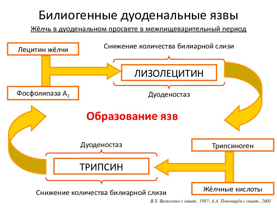 Желчнокаменная болезнь презентация