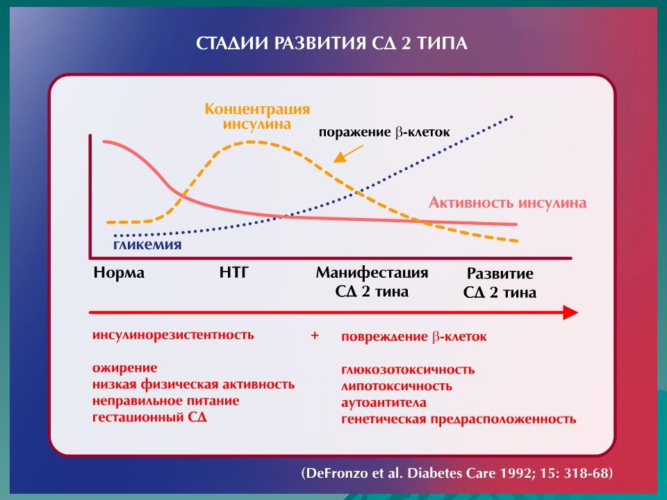 Слайдес го презентация