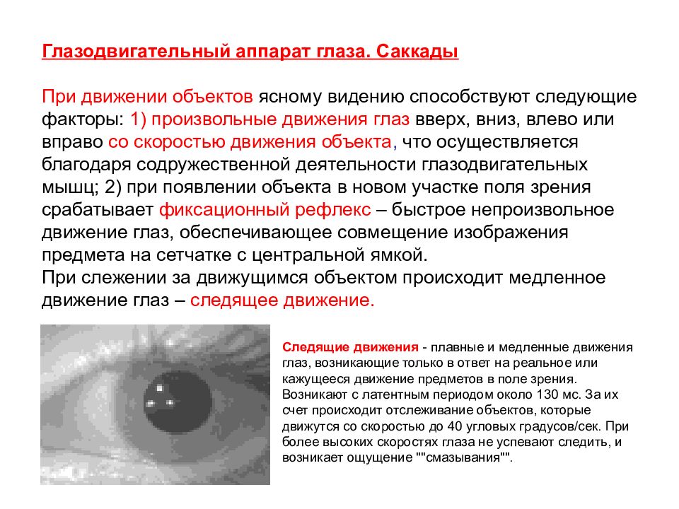 Почему глаза двигаются. Патология глазодвигательного аппарата глаза. Временные характеристики движения глаз. Плавные движения глаз. Методы исследования глазодвигательного аппарата.