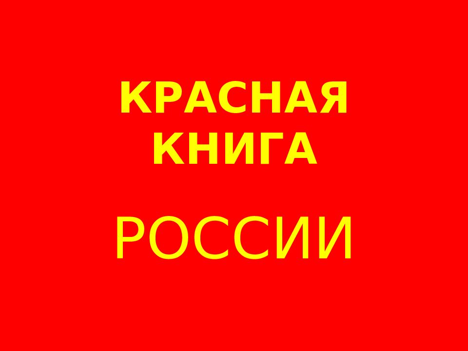 КРАСНАЯ КНИГА