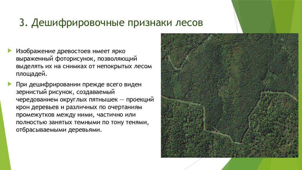 3. Дешифрировочные признаки лесов