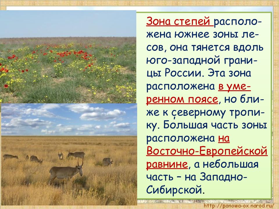 Степь россии характеристика природной зоны