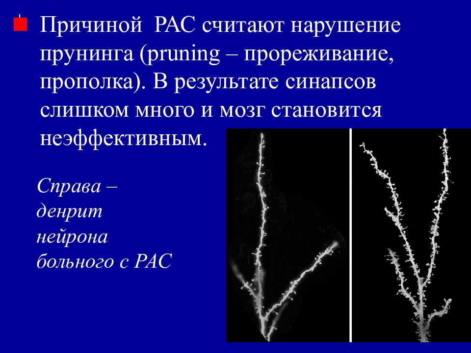 рас причины. у ребенка диагноз аутизм причины. причины формирования рас. прореживание причины. рас причины.