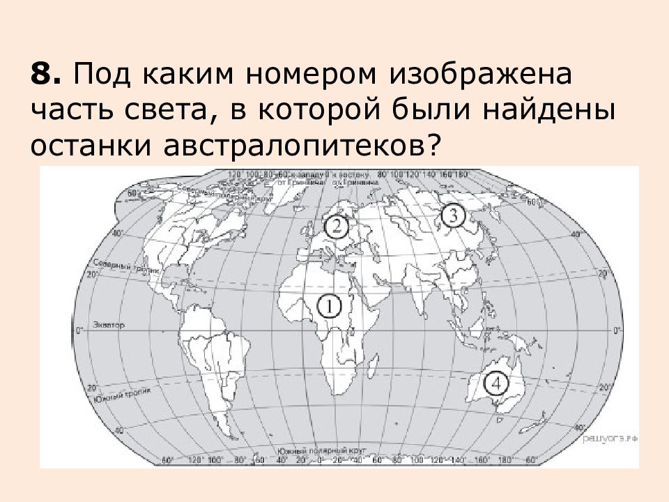 Под каким номером изображена. Часть света, в которой были найдены останки австралопитеков. Какая часть света обозначена на карте цифрой 1?. Какая часть света обозначена на карте цифрой 5?. В какой части света нашли останки австралопитеков.