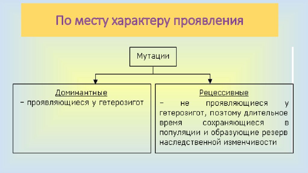 Мутации отличаются