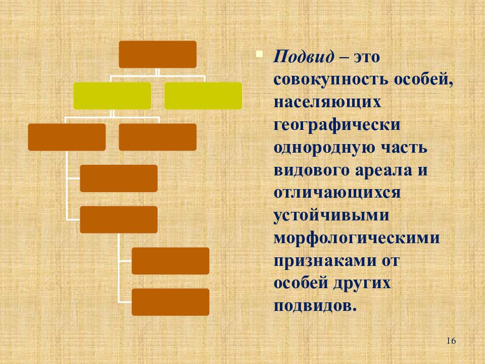 Вид подвид. Вид подвид разновидность. Подвид это в биологии. Подвид примеры. Вид подвид популяция.