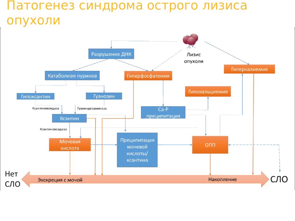 Синдром новообразования презентация