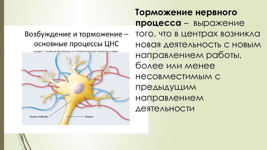 Ухтомский алексей алексеевич презентация