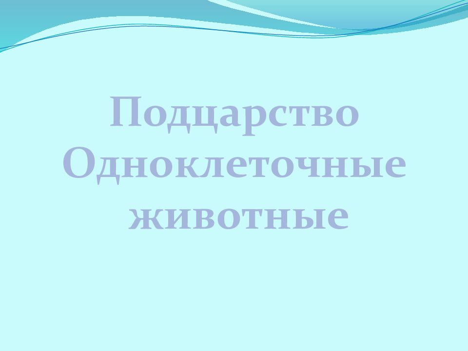 Подцарство Одноклеточные животные