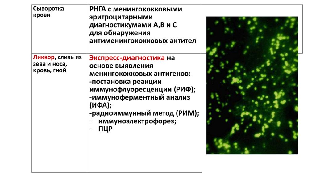 Диагностика менингококковой инфекции презентация