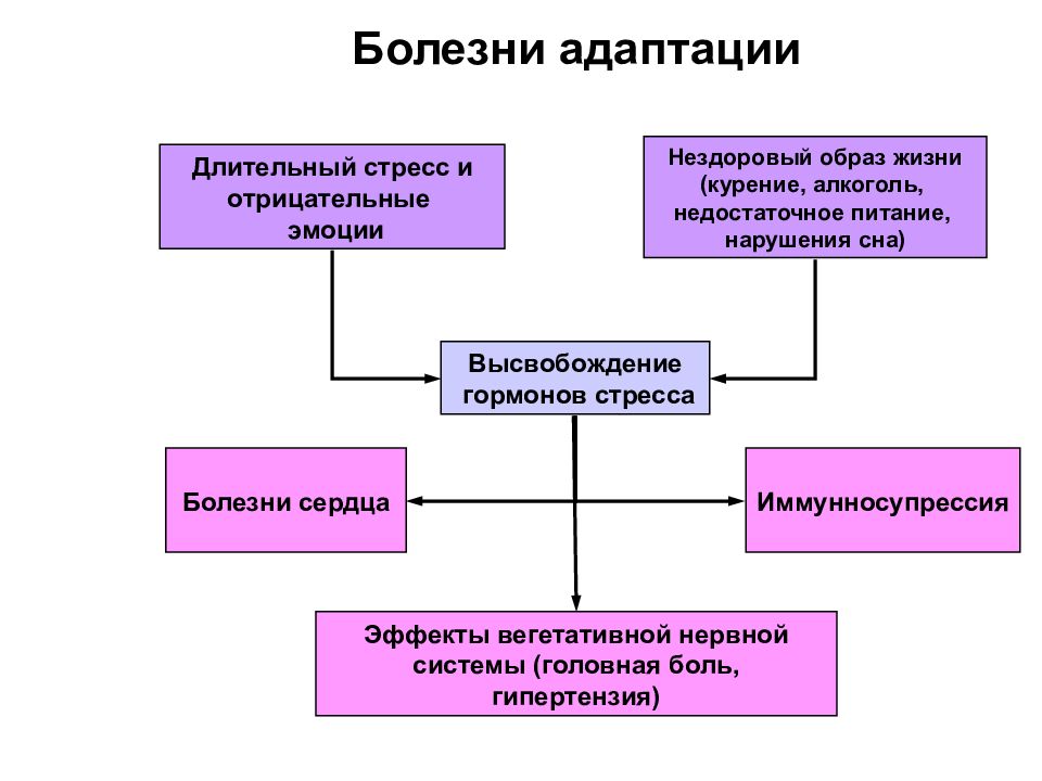 Стресс патофизиология презентация