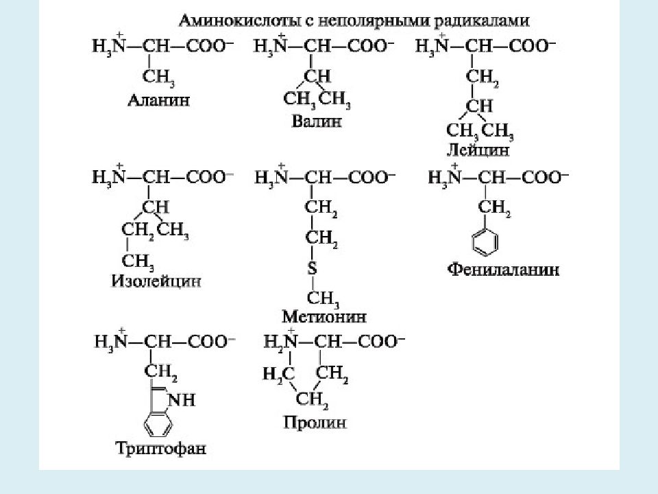 Состав радикалов аминокислот. Аминокислоты с неполярными радикалами. Неполярные гидрофобные аминокислоты. Алифатические аминокислоты с гидрофобными радикалами. Аминокислоты структура формулы.