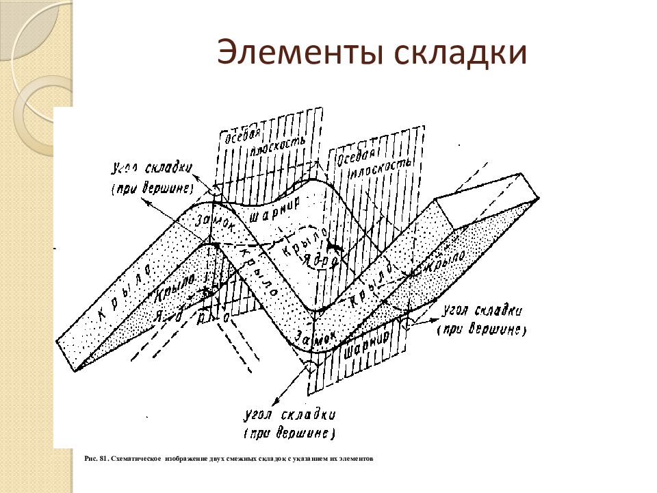 Нарисовать в разрезе наклонную сундучную антиклинальную складку