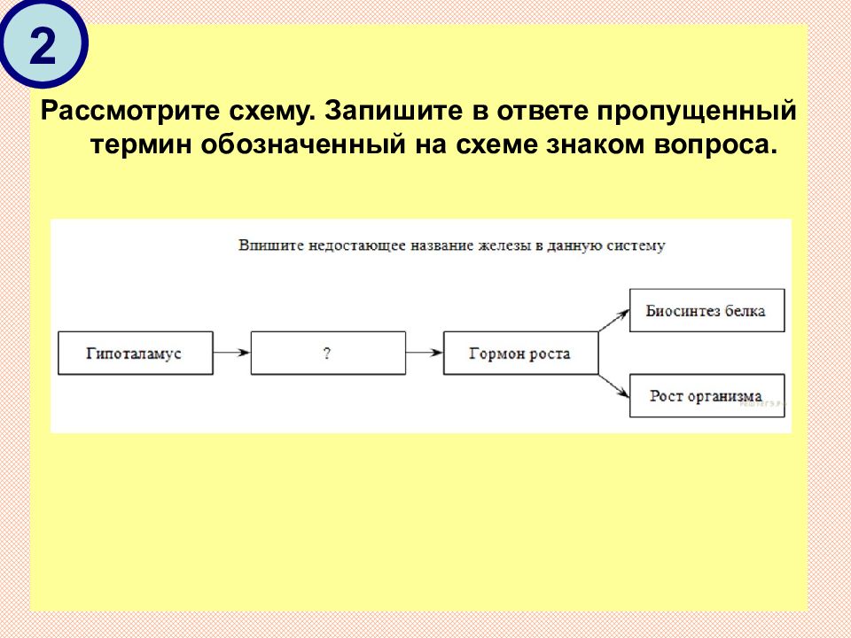 Пропускаем ответ. Рассмотрите схему. Запишите в ответе пропущенный термин. Запишите пропущенный термин обозначенный на схеме знаком. Рассмотрите схему. Описать схему.