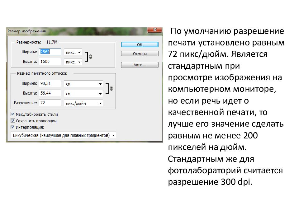 Назначение и основные возможности программы Adobe Photoshop