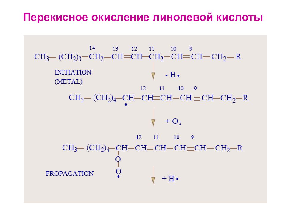 Окислительная кислота. Пероксидное окисление линолевой кислоты. Пероксидное окисление олеиновой кислоты. Схема реакции пероксидного окисления олеиновой кислоты. Пероксидное окисление кислот.